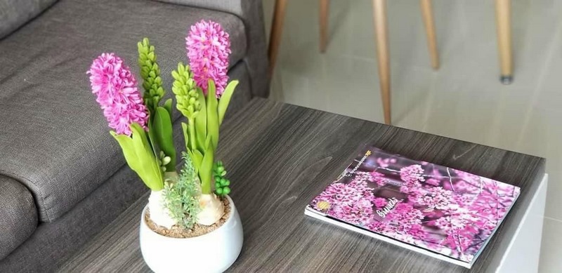 Hành trình trở thành Nữ Hoàng Đất Sét - Linh Vy